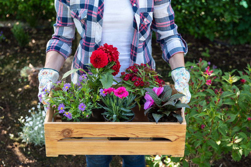 Woman Gardening