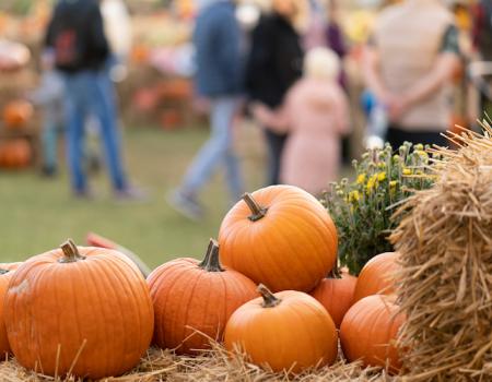 pumpkins on a hay bale