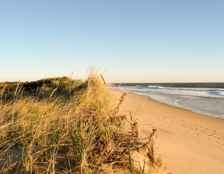 Nantucket Beach