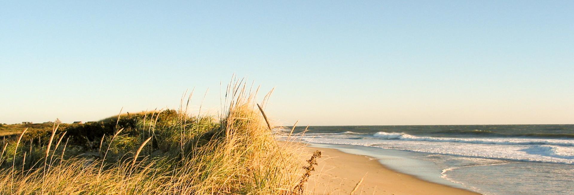 view of nantucket beach with bright blue sky