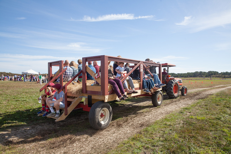 cranberry festival