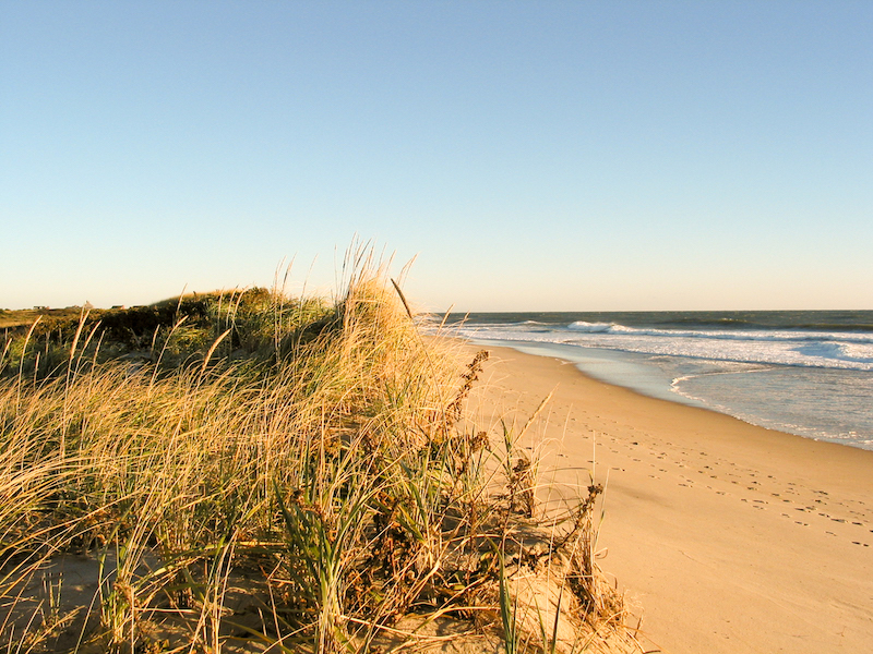 Nantucket Beach